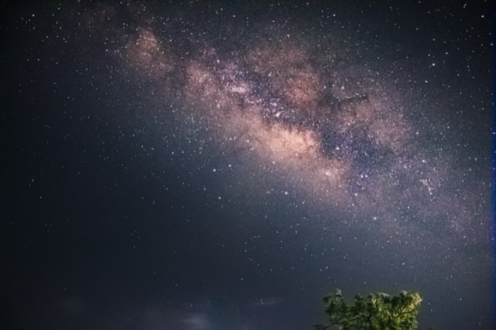 The Milky Way arching across a star-filled sky above a silhouetted tree