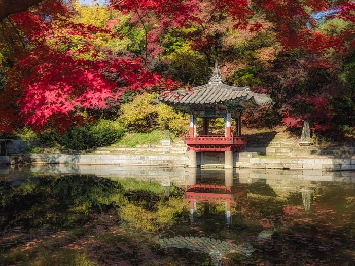 A red and green pavilion mirrored in a still pond, framed by crimson maples