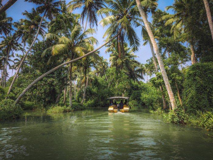 Small boat on a green backwater channel, coconut palms leaning overhead